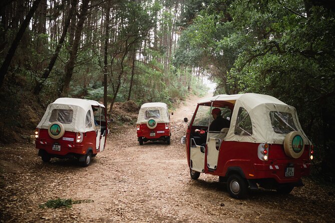1-Hour Guided Tuk-Tuk Tour in Sintra - How to Plan Your Day Around a Short Tour Like This
