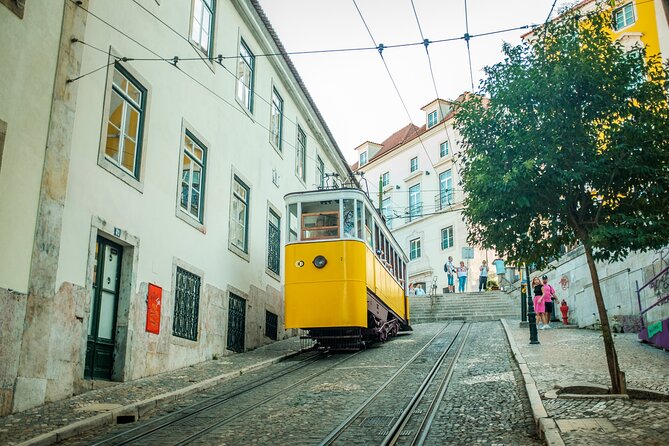 3-Hour Private Guided Walking Tour of Lisbon - Alfama and Miradouros: Santa Luzia and Portas do Sol