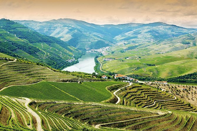 6-Day North Portugal Tour: Porto, Braga, Fátima, Coimbra, Guimaraes, Aveiro and Batalha, from Lisbon - Porto’s Palácio da Bolsa, Saint Francis, and a Proper Port Tasting