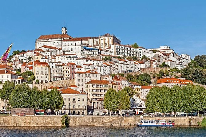 6-Day North Portugal Tour: Porto, Braga, Fátima, Coimbra, Guimaraes, Aveiro and Batalha, from Lisbon - Bussaco Forest, Tomar’s Templars, and the Convent of Christ