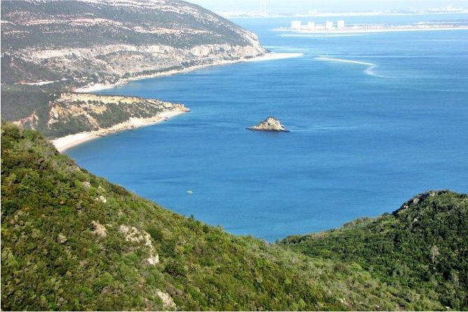 Arrabida and Bacalhoa Wine Tasting Private Tour from Lisbon - What the ratings say about guide behavior and day management