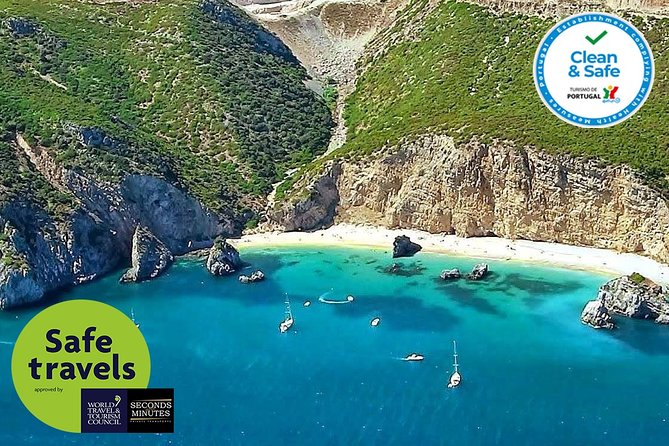 Arrábida and Setúbal Private Full Day Sightseeing Tour from Lisbon - Parque Natural da Arrábida: nature, timing, and small wildlife moments