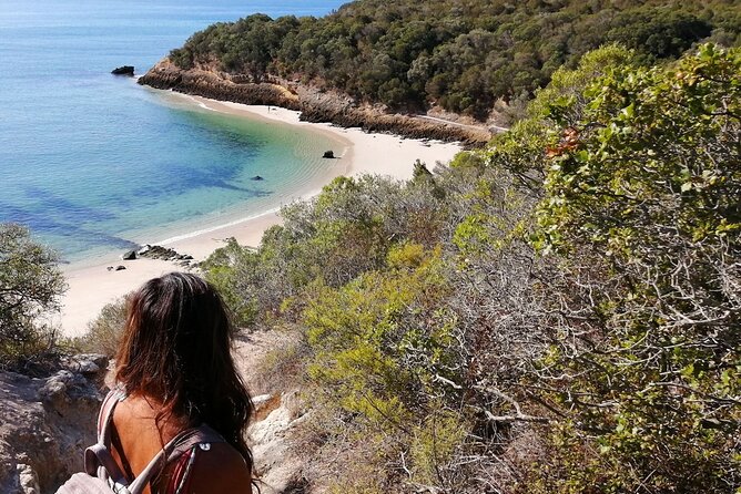 Arrábida: Beach, Nature & History - Roman ruins and fortress walls: history you can actually walk around