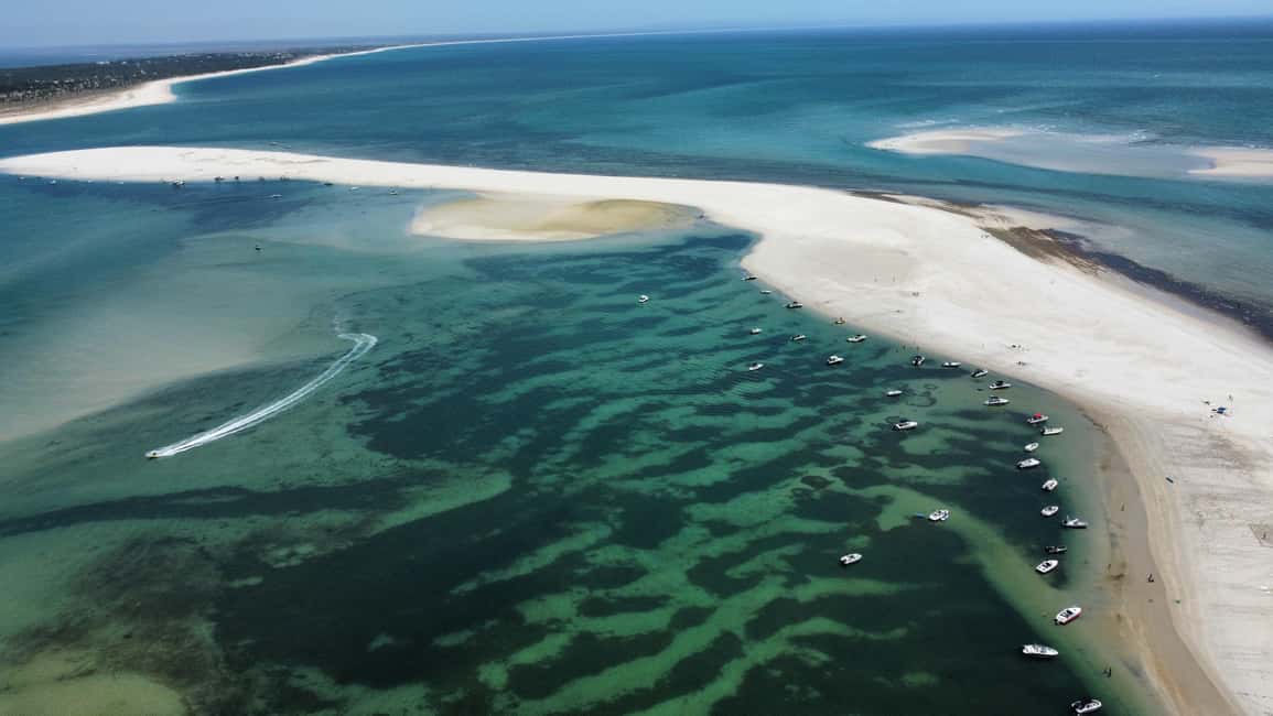 Arrábida: Boat Tour Experience / Lisbon Transfer available - Snorkeling off Arrábida: marine life time without complicated gear