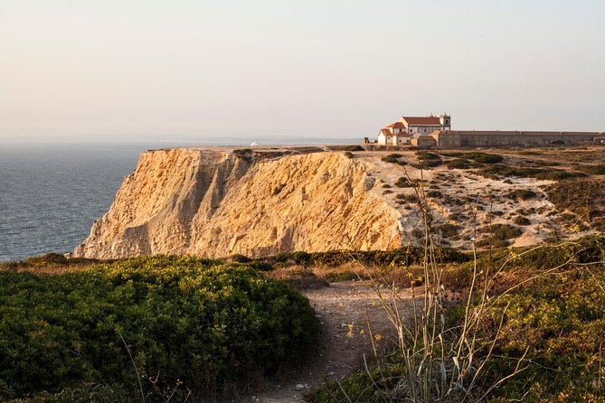 Arrábida: Full-Day Private Tour with Wine Tasting - A Private Day That Blends Coastline Views With Real Wine Time