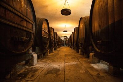 Arrábida: Full-Day Private Tour with Wine Tasting - Getting Out of Lisbon: The Bridge Ride and the Arrábida Switch
