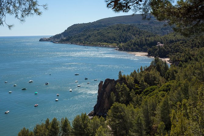 Arrábida: Full-Day Private Tour with Wine Tasting - Praia das Bicas: Why This Beach Feels Like You Found It First