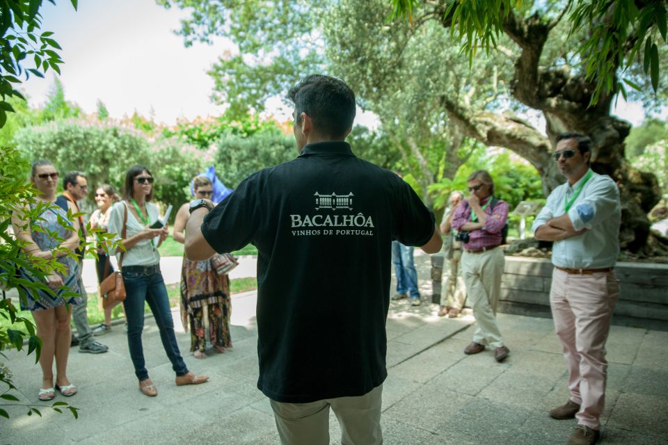 Arrábida: Full-Day Private Tour with Wine Tasting - The Ridge Climb: Lisbon to the North, Setúbal and the Sea to the South