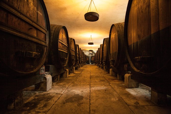 Arrábida: Full-Day Private Tour with Wine Tasting - Getting Out of Lisbon: The Bridge Ride and the Arrábida Switch