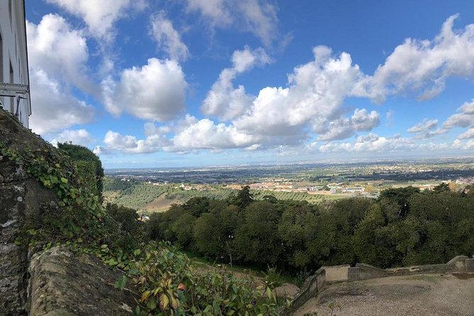 Arrábida Palmela Azeitão Private Tour - W/ Wine Tasting & Tapas - Key things that make this tour worth your attention
