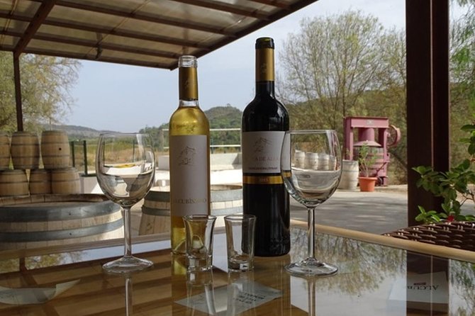 Arrábida Palmela Azeitão Private Tour - W/ Wine Tasting & Tapas - A private Land Rover route that actually feels like your day