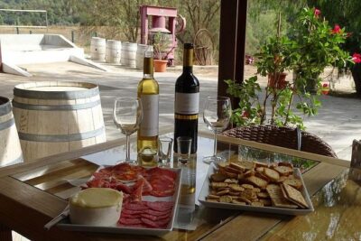 Arrábida Palmela Azeitão Private Tour - W/ Wine Tasting & Tapas - Palmela’s hilltop story: from strategic town to a castle you can feel