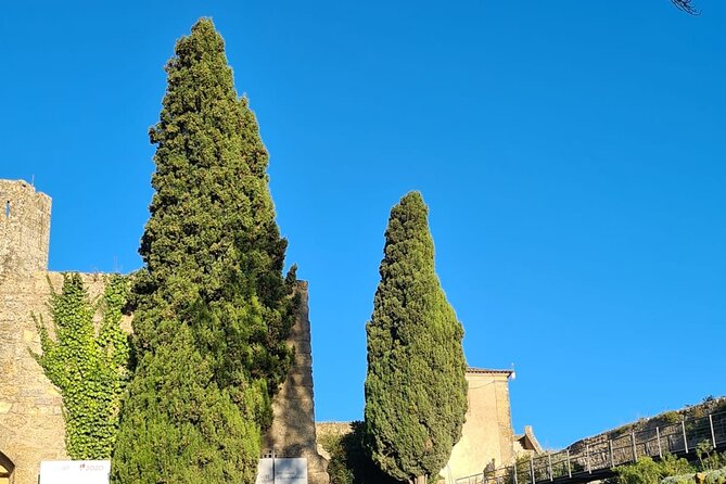 Arrábida: Private Setubal Highlights Tour (Full Day) - How the Setúbal highlights day flows without feeling rushed
