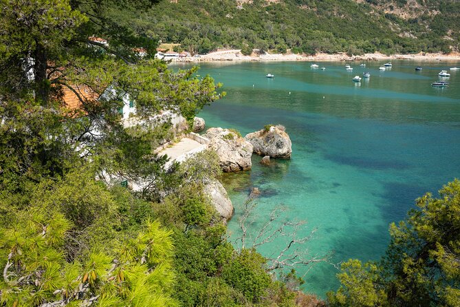 Arrábida: Private Setubal Highlights Tour (Full Day) - Forte de São Filipe: coastal defense history you can still feel