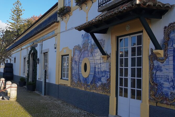 Arrábida: Private Setubal Highlights Tour (Full Day) - Vila Nogueira de Azeitão: olive-grove origins and a slower, story-driven hour