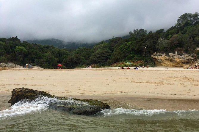 Arrabida Safari – Europe's Most Beautiful Beach & Hidden Gems - Guides can make or break the day: what to look for
