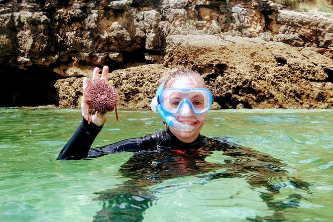 Arrábida Snorkeling Adventure with Transfer from Lisbon - From Sete Rios to the natural park: timing and transfer comfort