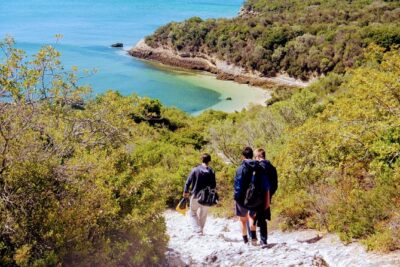 Arrábida Snorkeling Adventure with Transfer from Lisbon - What a 5-hour Arrábida day feels like (from coast to cliffs)