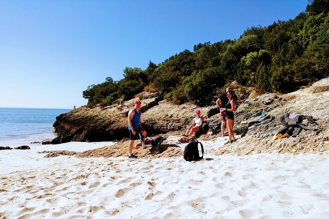 Arrábida Snorkeling Adventure with Transfer from Lisbon - The Arrábida trek and coastal viewpoints you’ll remember