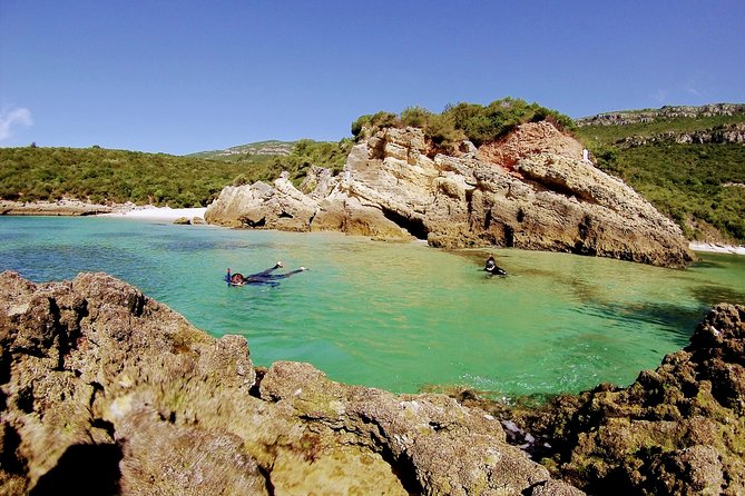 Arrábida Snorkeling Adventure with Transfer from Lisbon - Photos and video souvenirs: a smart included bonus