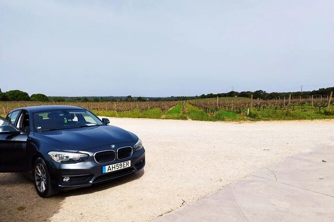 Arrábida Wine Tour - 3 Wineries, Traditions & Views from Lisbon - Key moments to look forward to