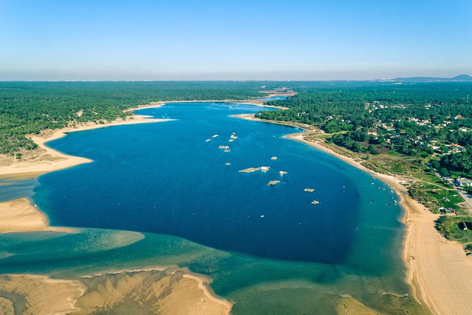 Arrabida Wine Tour from Lisbon: Wineries, Tastings & Tile Factory - Key highlights worth circling
