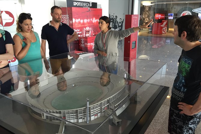 Benfica Stadium and Museum Private Tour - What Makes This Private Tour Feel Different From DIY