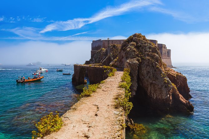 Berlenga Island Full Day Tour from Lisbon - Underwater viewing: glass-bottom excursion (and the kayak option)