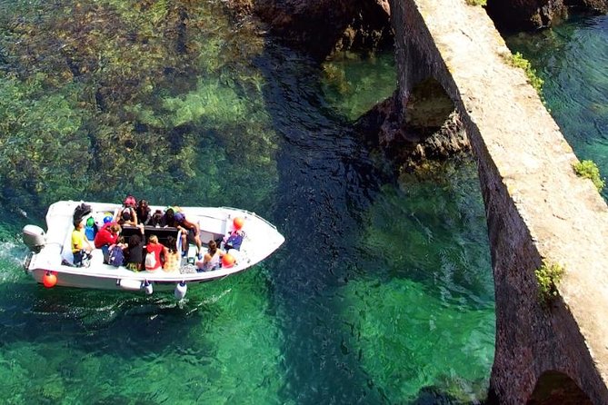 Berlenga Island Small-Group Day Trip from Lisbon - Nature Reserve walk: flora and fauna time, not a rushed stop