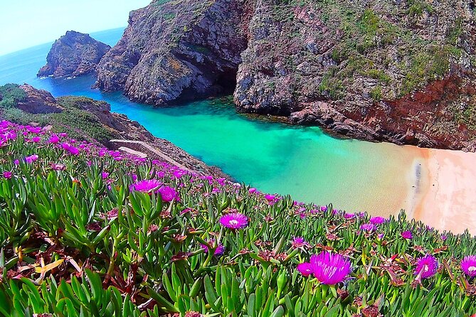 Berlengas Island Catamaran Tour - Round Trip - From Peniche Marina to Open Water: The Catamaran Experience
