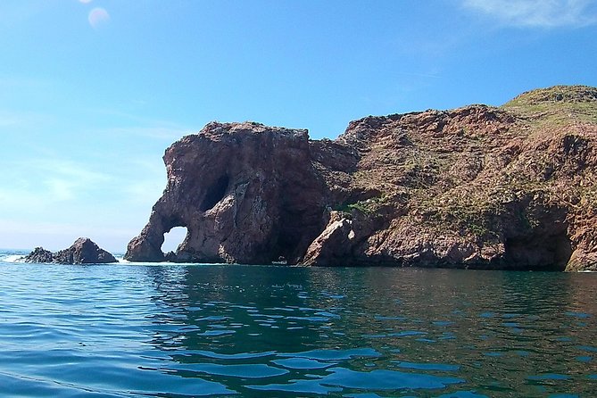 Berlengas Island Catamaran Tour - Round Trip - Stop on Berlengas: Natural Reserve Time and Island Walking