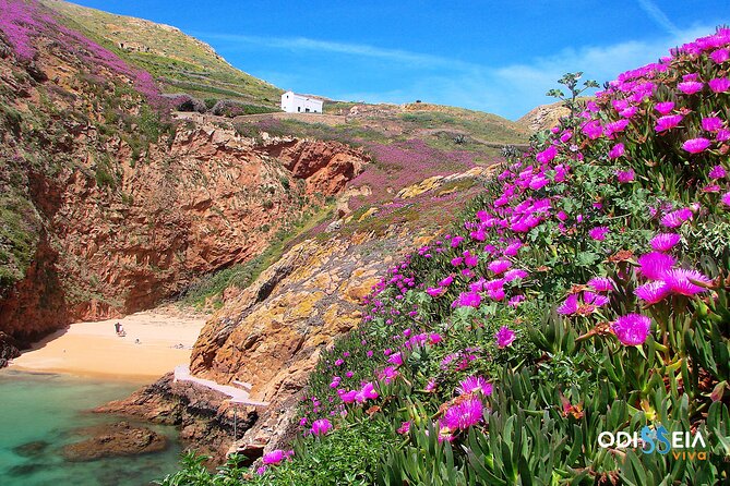 Berlengas Island Catamaran Tour - Round Trip - Fort St. John and the Duke of Bragança Lighthouse