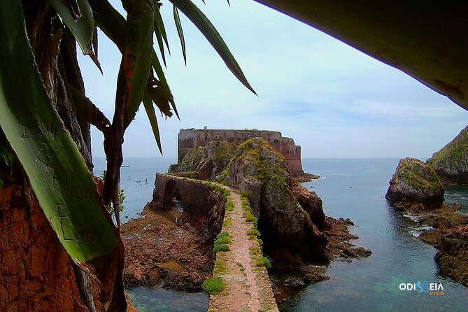 Berlengas Island Catamaran Tour - Round Trip - Price and Value: What $54.01 Really Buys