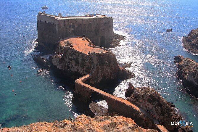 Berlengas Island Catamaran Tour - Round Trip - What to Bring (and What to Expect) for a Comfortable Day