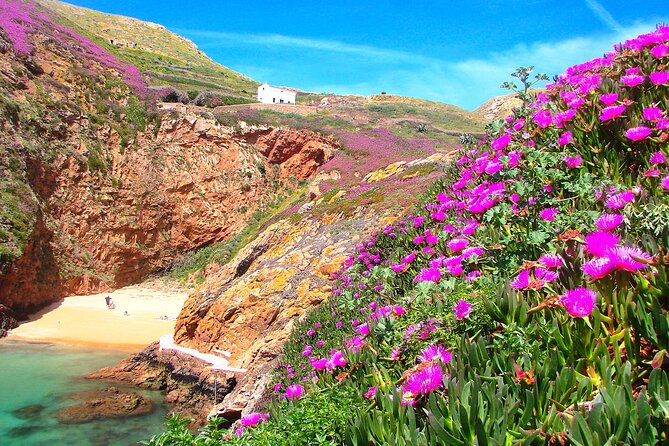 Berlengas Island Catamaran Tour + Snorkeling - Price and value: is $63.67 a good deal?