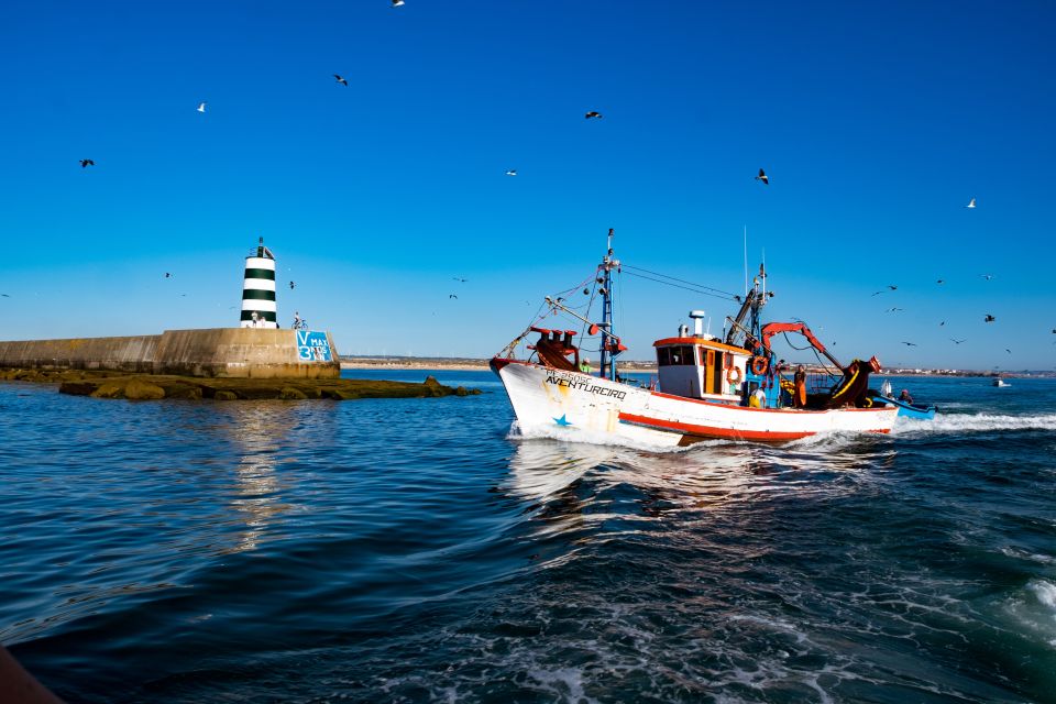 Berlengas The Atlantic Frontier: Day Tour from Lisbon - Should you book this Berlenga Grande day tour?