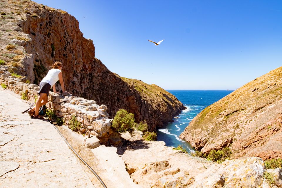 Berlengas The Atlantic Frontier: Day Tour from Lisbon - Price and value at about $117: what you’re buying for a full day