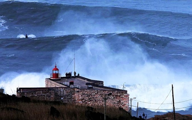 Berlengas Tour - Key highlights worth your attention
