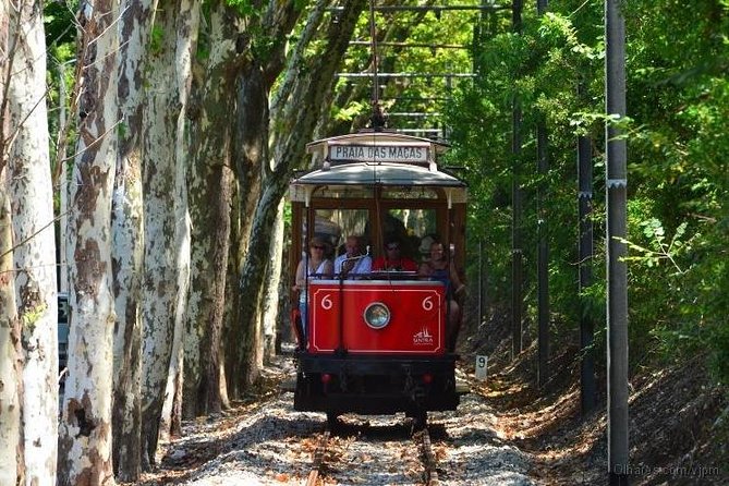 Best Of Lisbon Semi-Private Tour - Why This Tour Feels Good for First-Time Lisbon