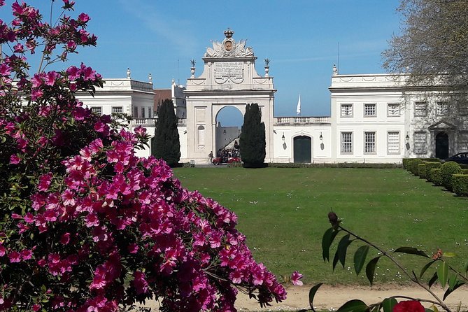 Best Of Sintra & Cascais with Locals - Marina de Cascais: seaside views with a royal past