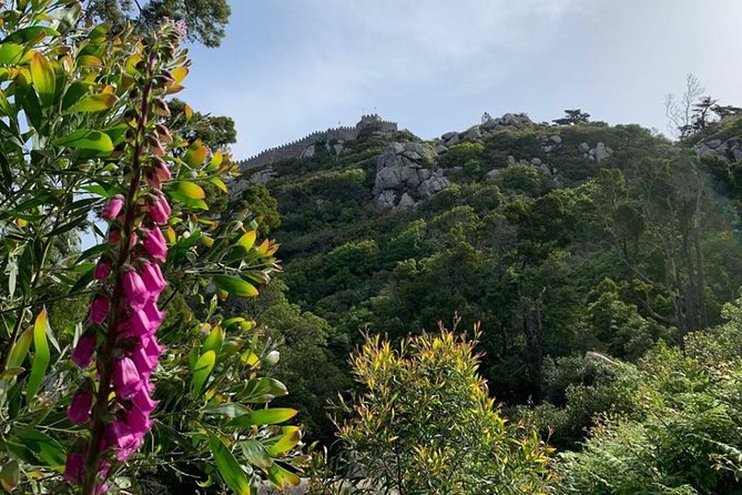 Best Of Sintra & Cascais with Locals - What to plan for: walking, tickets, and timing that reduces stress