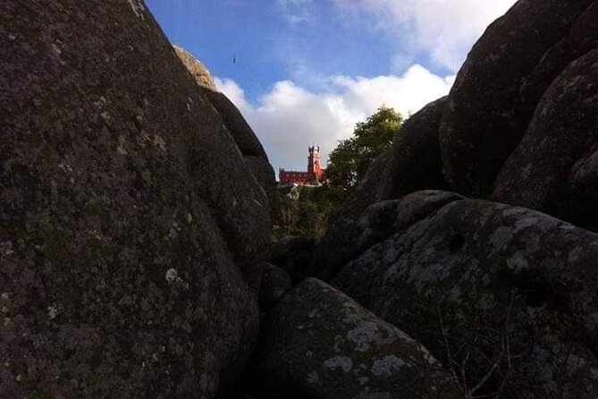 Best Sintra day trip : Pena Palace, Regaleira, Clifs & Ocean - Monserrate and the romantic garden mindset: plants matter here