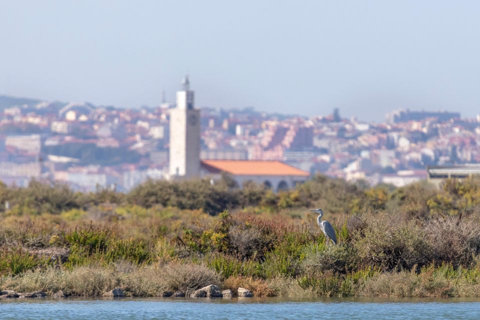 Birdwatching Boat Tour in the Tagus Estuary - Gaio-Rosário photo stop: a small pause that helps you reset