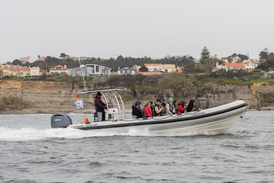 Birdwatching Boat Tour in the Tagus Estuary - How long is enough? Timing, pace, and what 2.5 hours really buys you