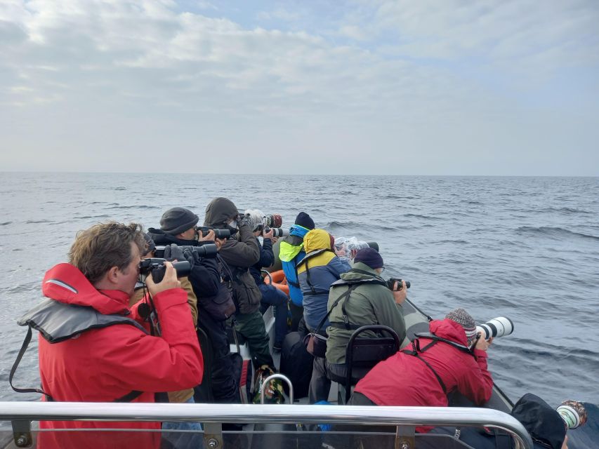 Birdwatching Boat Tour in the Tagus Estuary - Price ($58) and value: what you actually get for your money