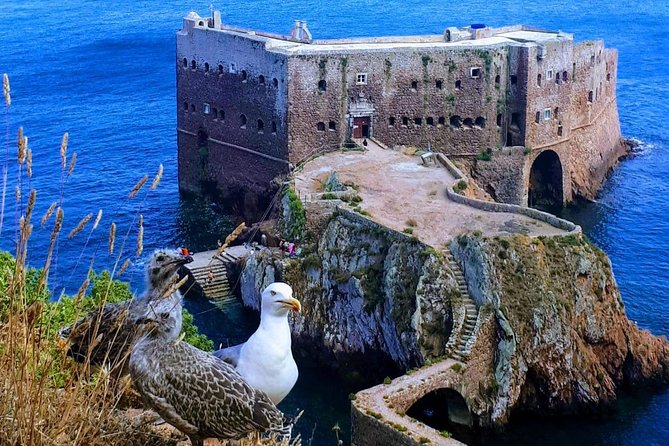 Boat and Kayak at Berlenga Natural Reserve - Guide Joao and Why the Day Feels Personal