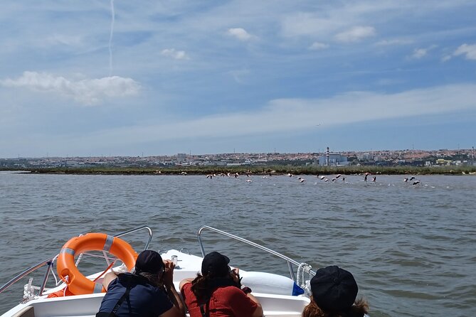 Boat Tour - Bird Observation in the Tejo Nature Reserve - Lisbon from the Water: Vasco da Gama Bridge Views Without the Hustle
