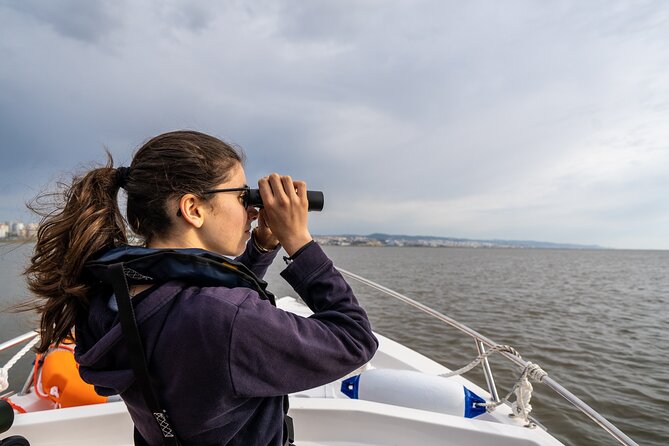 Boat Tour - Bird Observation in the Tejo Nature Reserve - Price and Value: Why Around $60 Makes Sense for 3 Hours of Real Nature