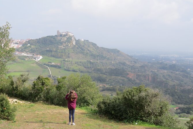 Bread, Wine&Cheese, The Natural Taste - Bread, wine, and the real makers south of Lisbon