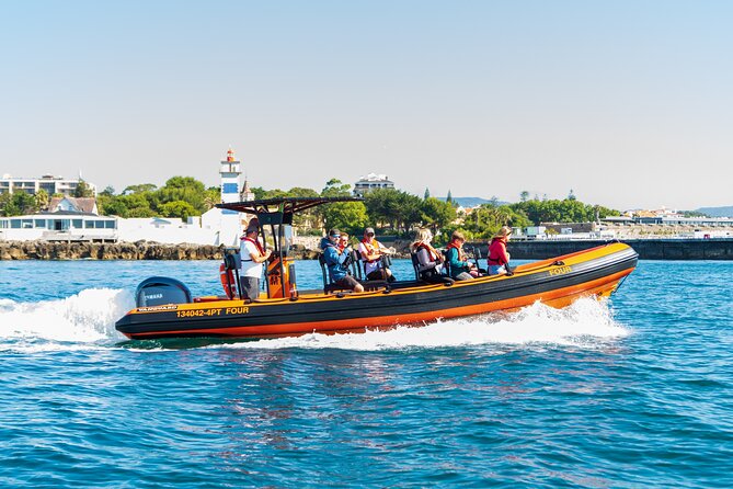 Cascais coast: Dolphin watching - Key things to know before you go dolphin watching in Cascais